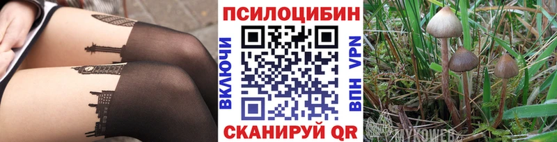 Галлюциногенные грибы Psilocybine cubensis  Называевск 